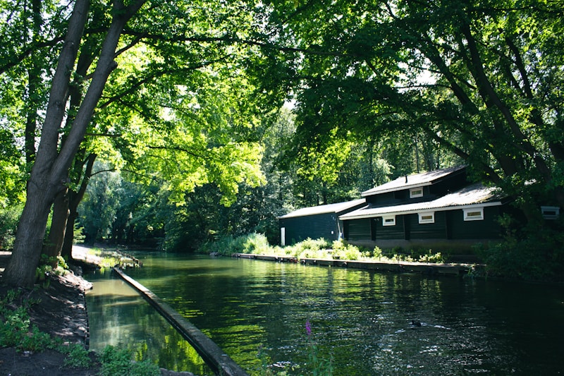 River in the forest of Sloterplas