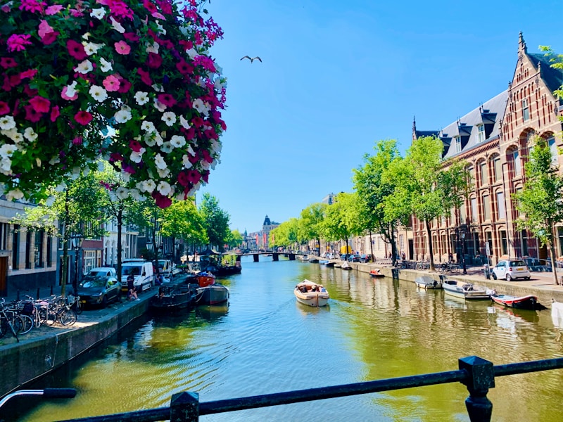 River between green trees and buildings during daytime