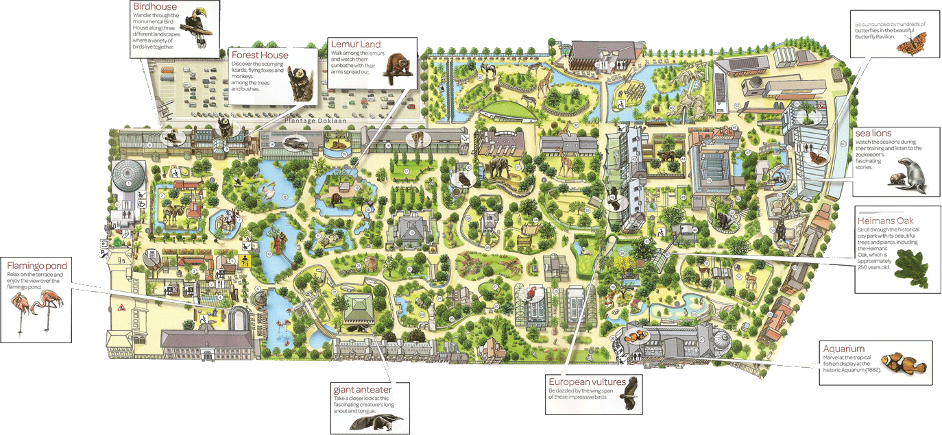 The map of ARTIS Amsterdam Royal Zoo