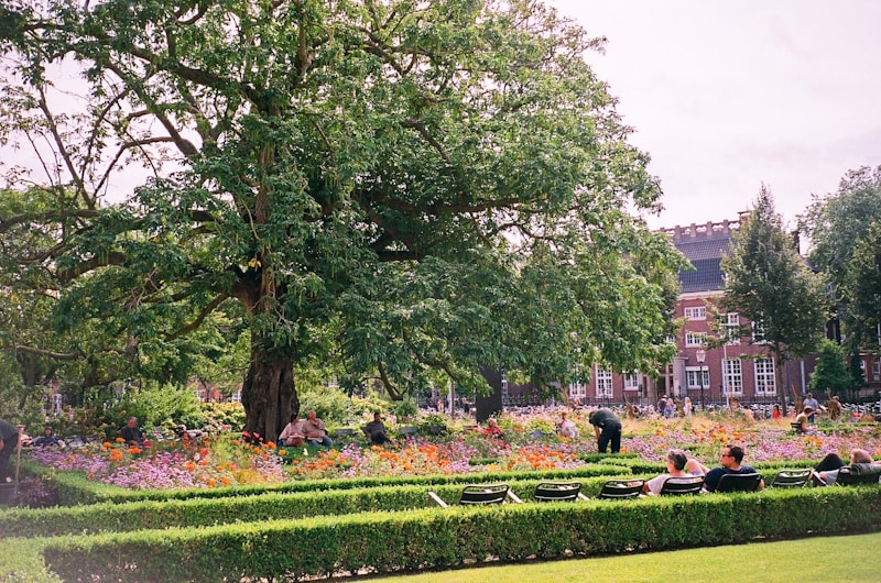 Exploring Rijksmuseum garden