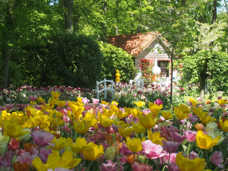 Keukenhof - The Garden of Europe