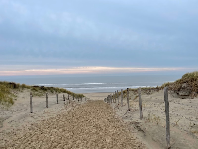 Beach of Zandvoort