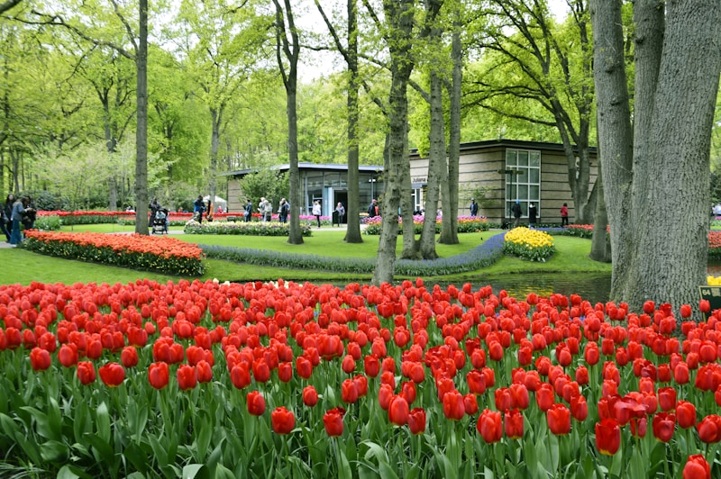 Keukenhof Gardens