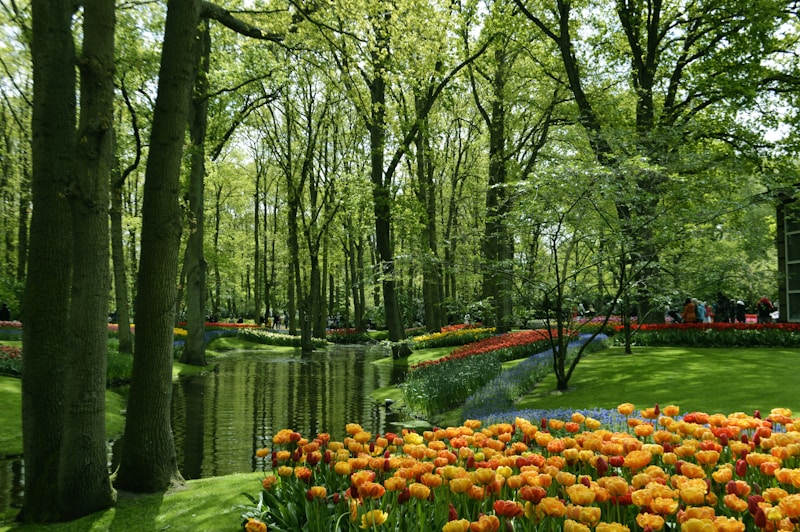 Keukenhof Gardens: A Springtime Wonderland